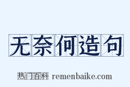 无奈何造句是什么意思的图片